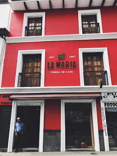 La María Cafés Especiales