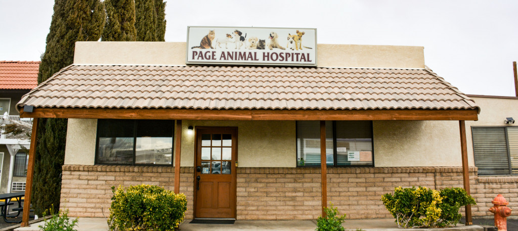 Page Animal Hospital