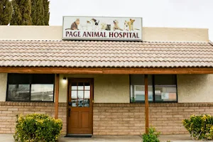 Page Animal Hospital image