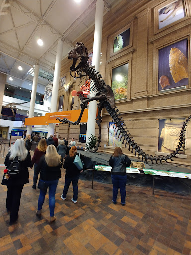 Natural History Museum «Denver Museum of Nature & Science», reviews and photos, 2001 Colorado Blvd, Denver, CO 80205, USA