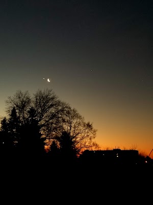 Franklin Park - photo 50