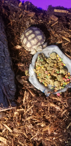 Pet Supply Store «Pet Station Jackson», reviews and photos, 1617 E Michigan Ave, Jackson, MI 49202, USA