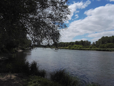 Île de Mareau à Mareau-aux-Prés