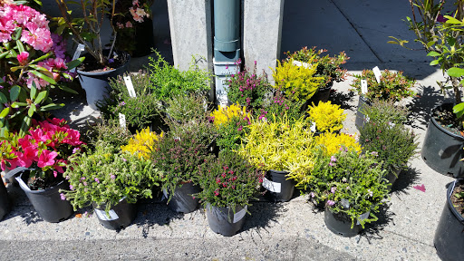 Event Venue «Florence Events Center», reviews and photos, 715 Quince St, Florence, OR 97439, USA