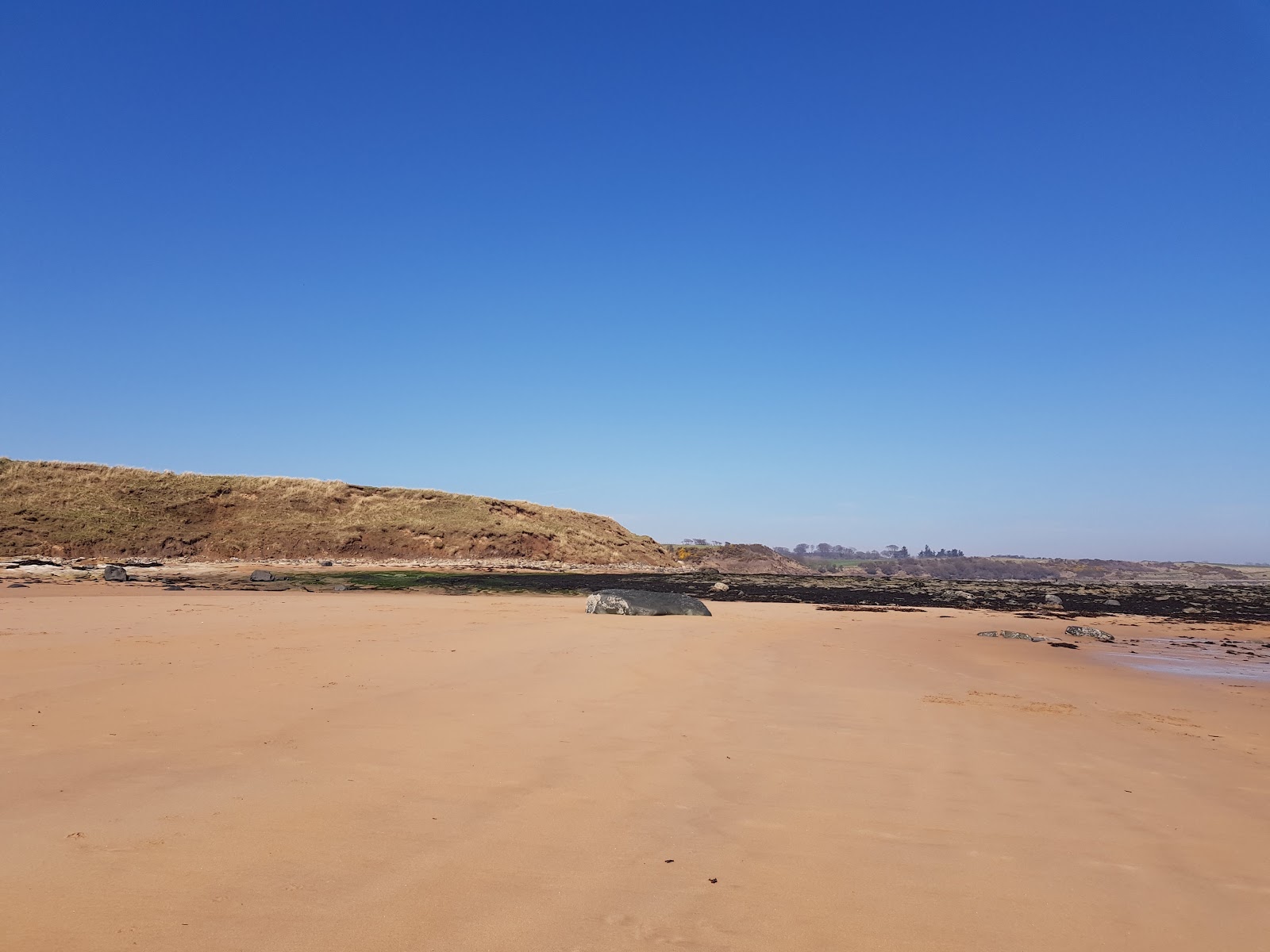 Foto af Longhoughton strand med høj niveau af renlighed