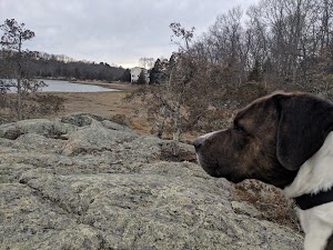 Weir River Estuary Park - photo 46