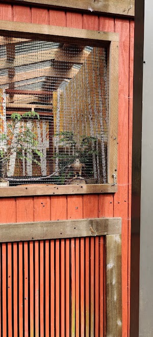 Alaska Raptor Center - photo 92