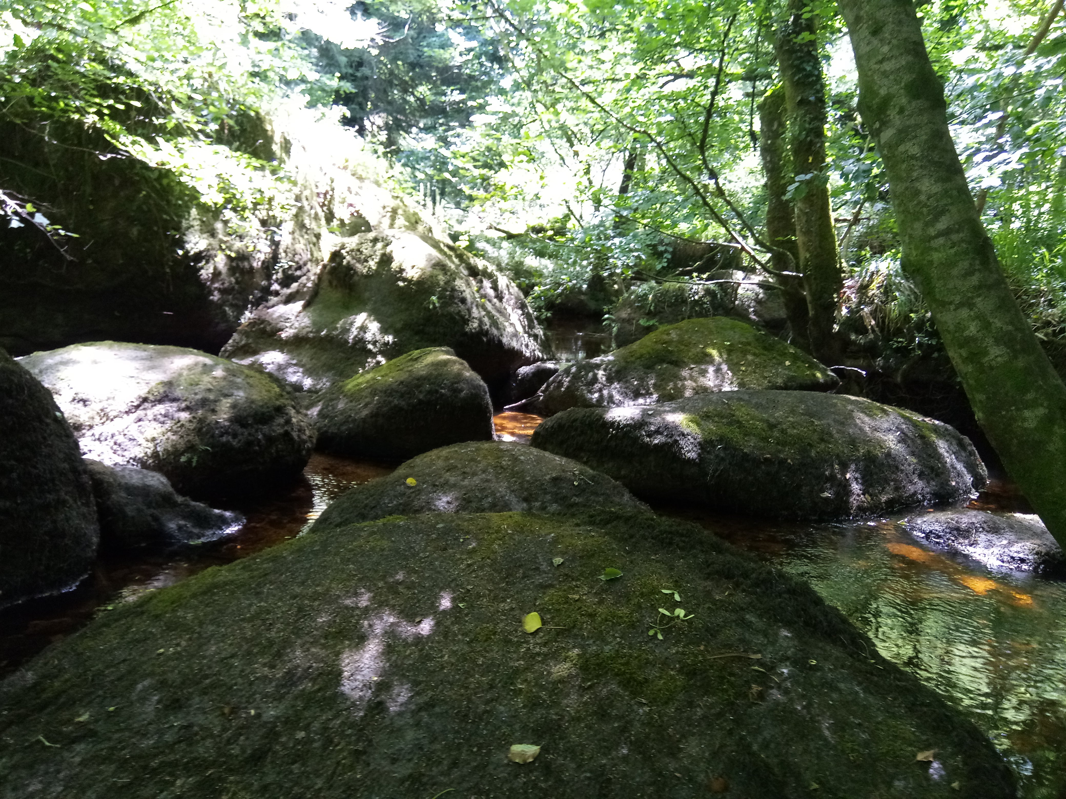 Photo n° 31 de l'avis de Christophe.n fait le 09/07/2018 à 16:57