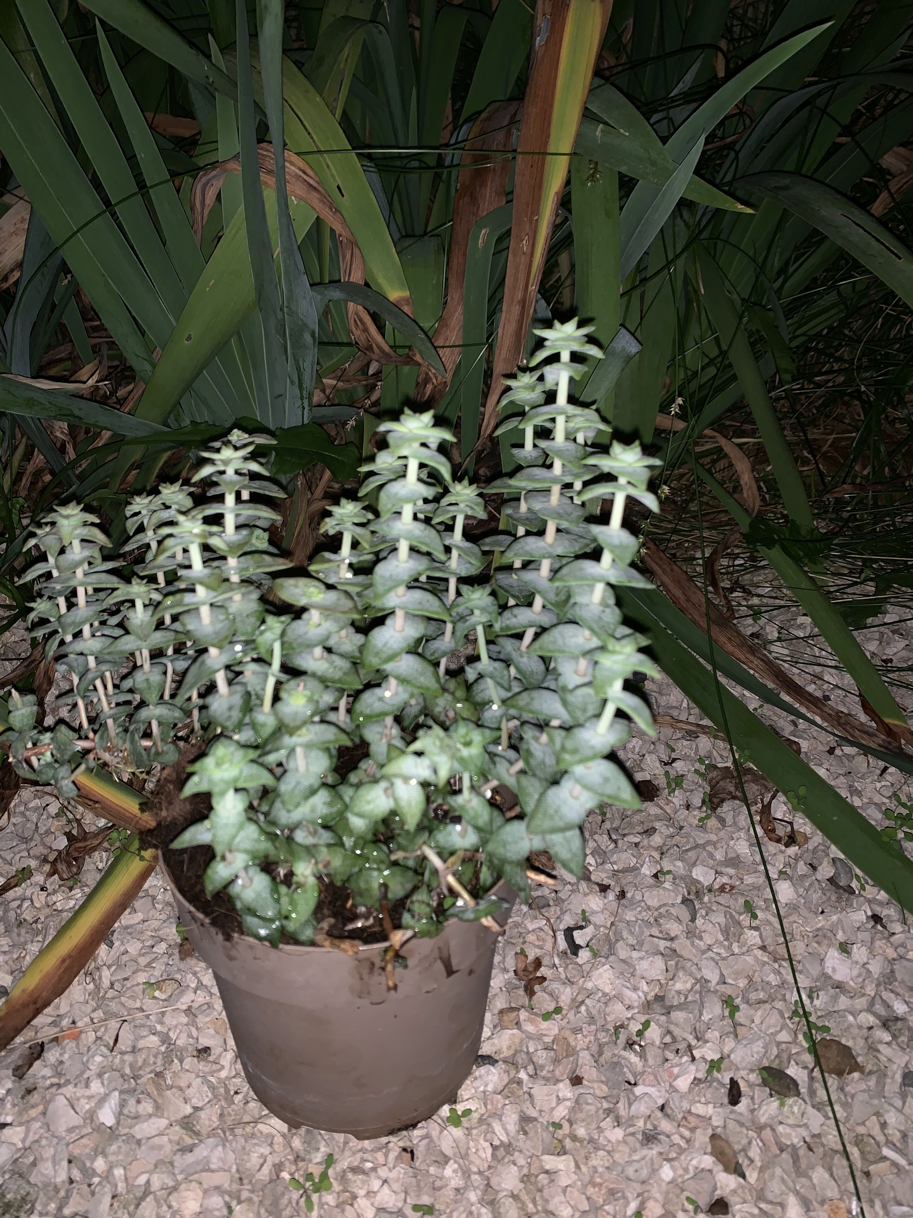 Photo n° 6 de l'avis de Jose.a fait le 01/05/2020 à 08:36