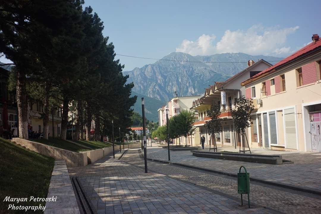 Bayram Curri, Arnavutluk
