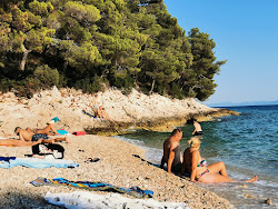 Beach Malinka'in fotoğrafı imkanlar alanı