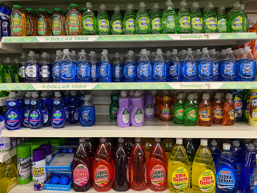 Dollar Store «Dollar Tree», reviews and photos, 2550 Race Track Rd a, St Johns, FL 32259, USA