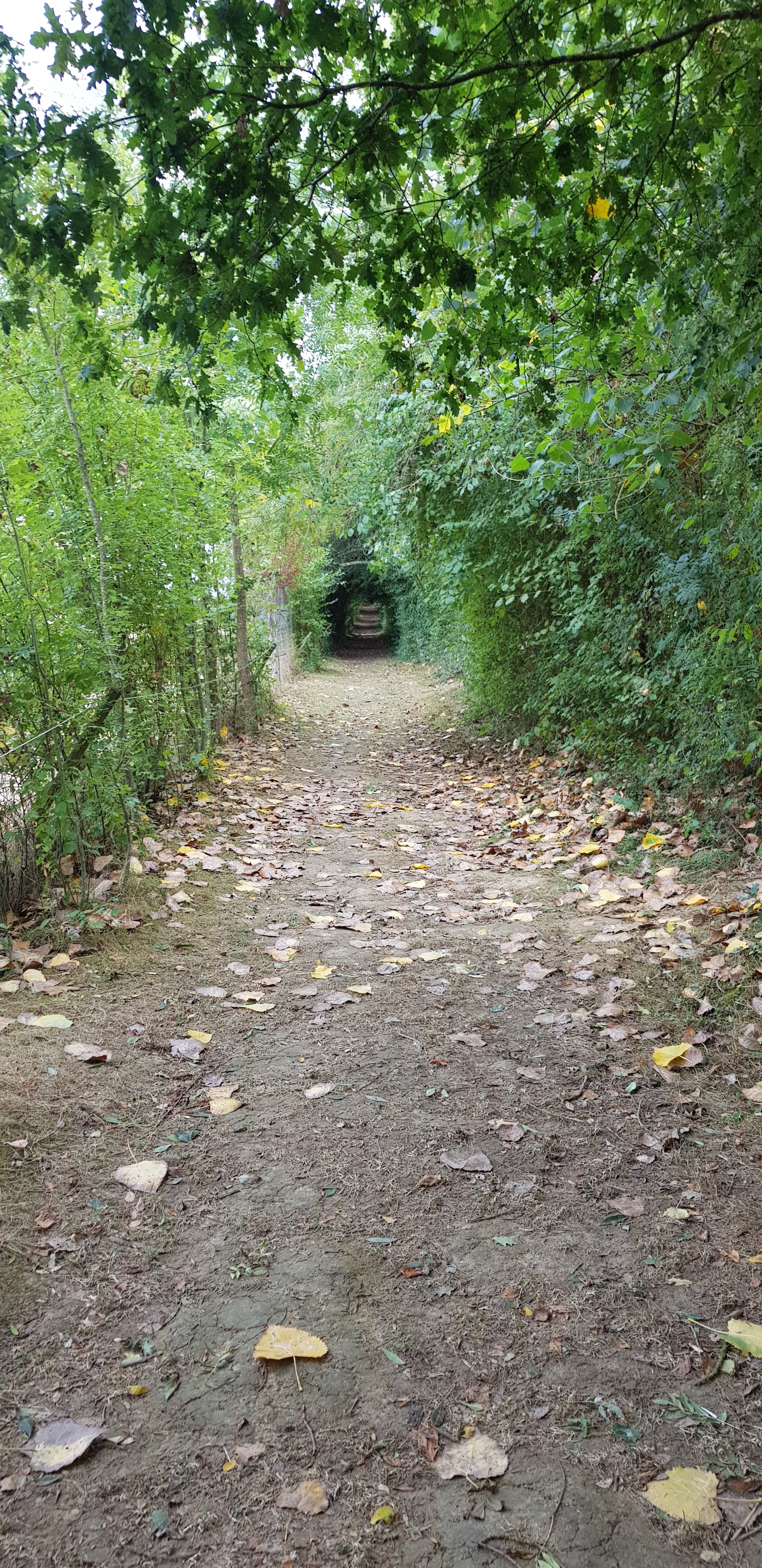 Photo n° 1 de l'avis de Alex.L fait le 30/08/2018 à 18:15