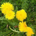 Photo n°2 de l'avis de Brit.B fait le 24/05/2018 à 15:14 sur le  Schrattenwangalpe à Oberstdorf