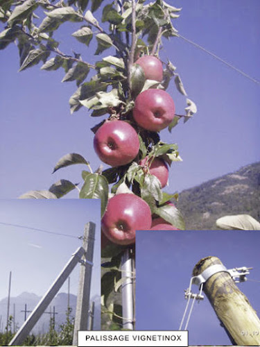 Rezensionen über Agrobio Conseils SA in Martigny - Bioladen