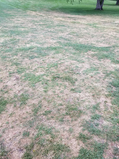 Golf Course «Toad Valley Golf Course», reviews and photos, 237 NE 80th St, Pleasant Hill, IA 50327, USA