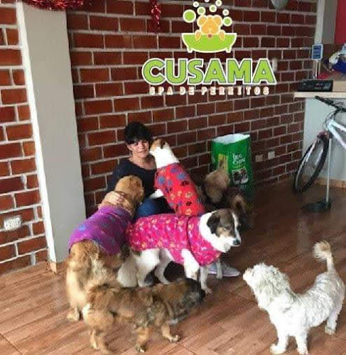 Comentarii opinii despre CUSAMA SPA DE PERRITOS