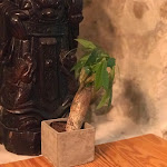 Photo n° 6 de l'avis de Intelligent.a fait le 28/11/2019 à 21:37 pour Bangkok Café Antibes à Antibes