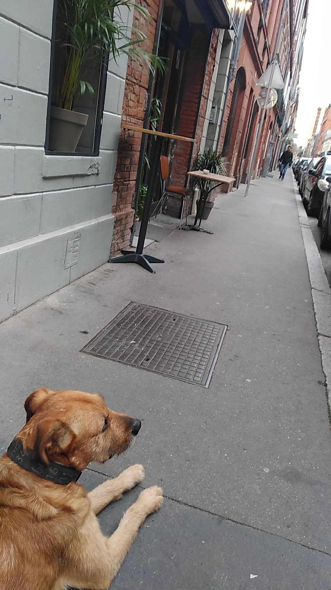 Photo n° 1 de l'avis de Adiva.n fait le 14/03/2019 à 17:02