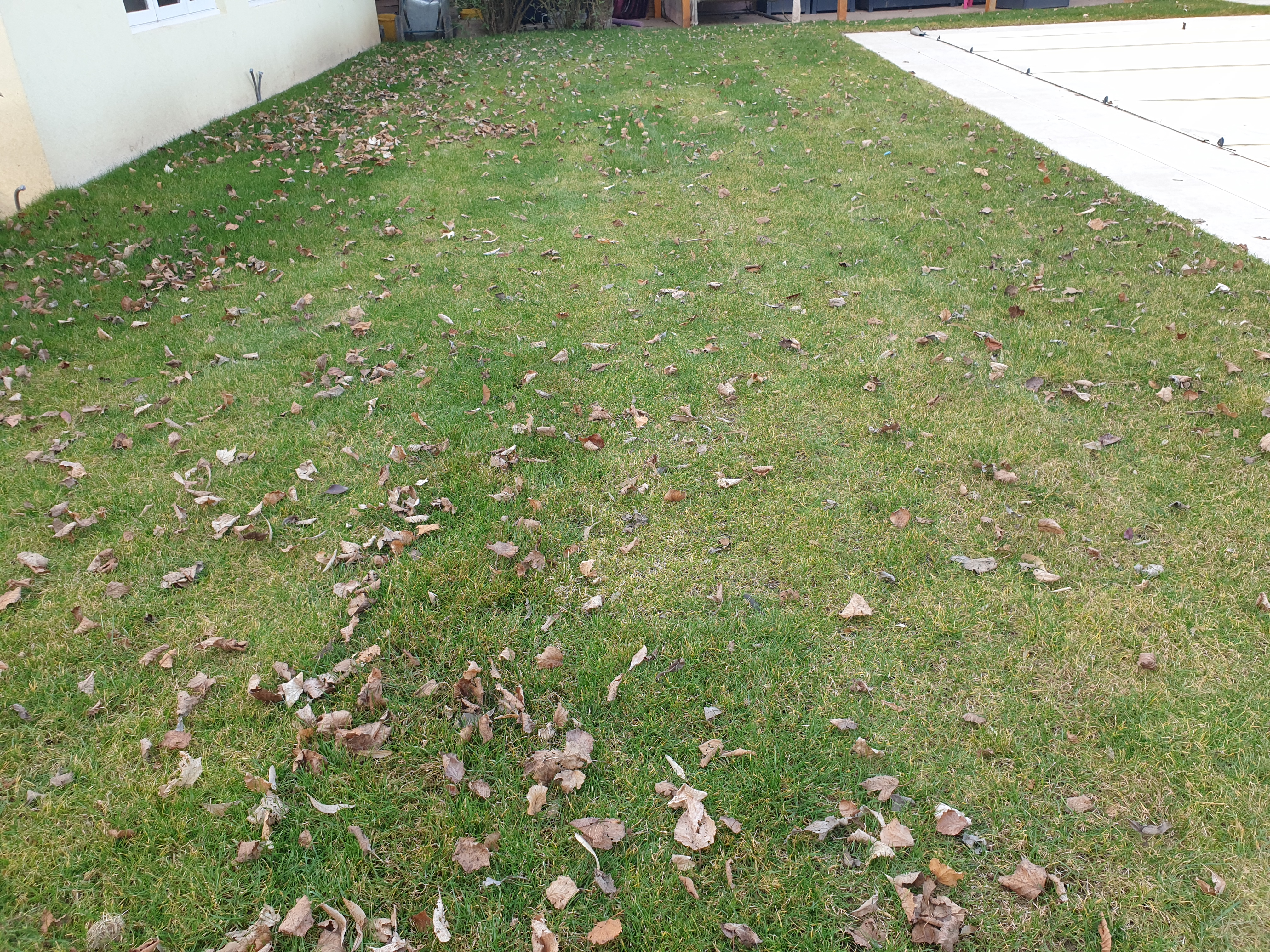 Photo n° 2 de l'avis de Damien.o fait le 24/02/2023 à 12:57