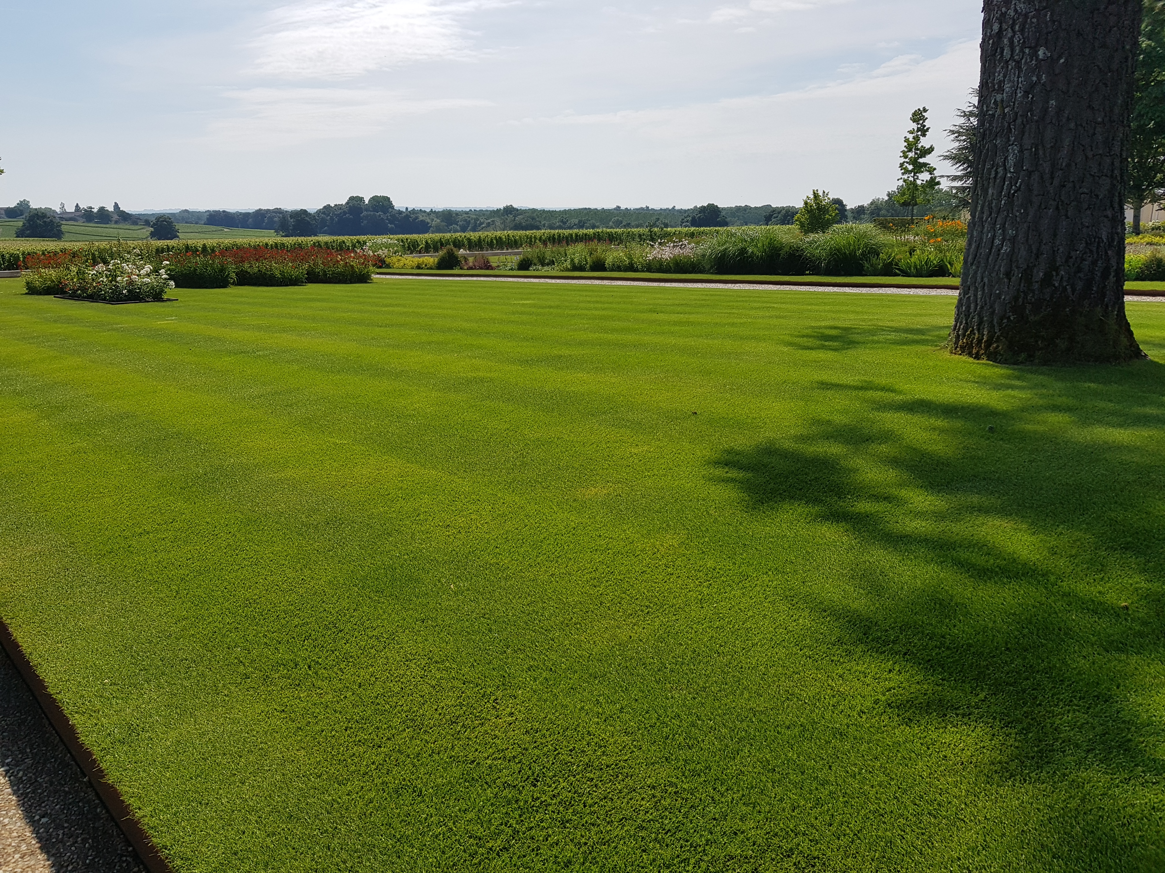 Photo n° 11 de l'avis de Richard.l fait le 21/06/2018 à 10:34