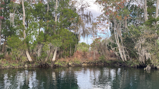 Sightseeing Tour Agency «Manatee Tour and Dive», reviews and photos, 36 NE 4th St, Crystal River, FL 34428, USA