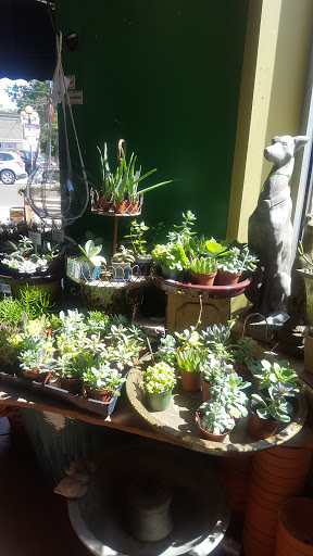 Gift Shop «Wild Flowers», reviews and photos, 1201 Madison St, Denver, CO 80206, USA