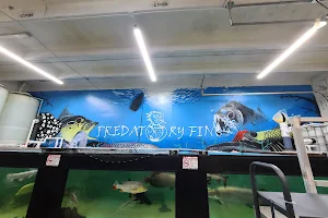 PREDATORY FINS image