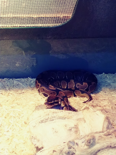 Pet Supply Store «Pet Supplies Plus», reviews and photos, 5315 Airport Hwy, Toledo, OH 43615, USA