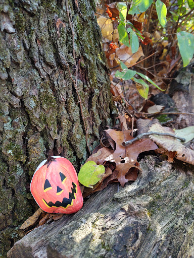 Jewelry Store «J & M Jewelers», reviews and photos, 7805 26 Mile Rd, Washington, MI 48094, USA