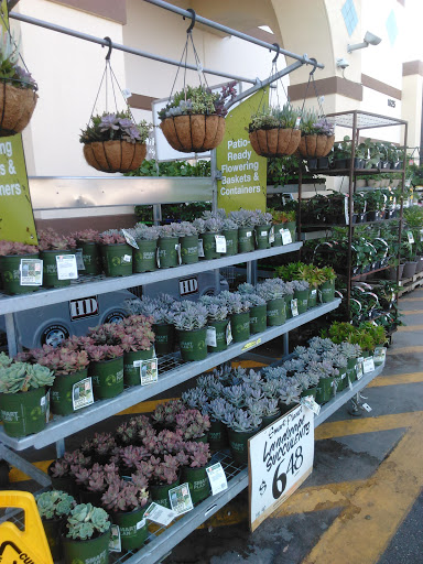 The Home Depot image