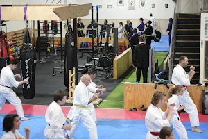 Eltham martial Arts Academy - Musubi Dojo image