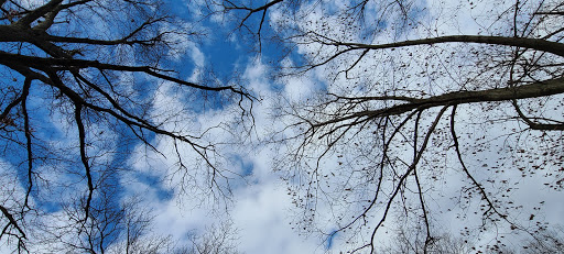 Dog Park «Brookdale Dog Park», reviews and photos, W Circuit Dr, Montclair, NJ 07043, USA