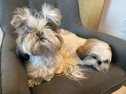 Insurance Agency «Youkie Chambers - State Farm Insurance Agent», reviews and photos