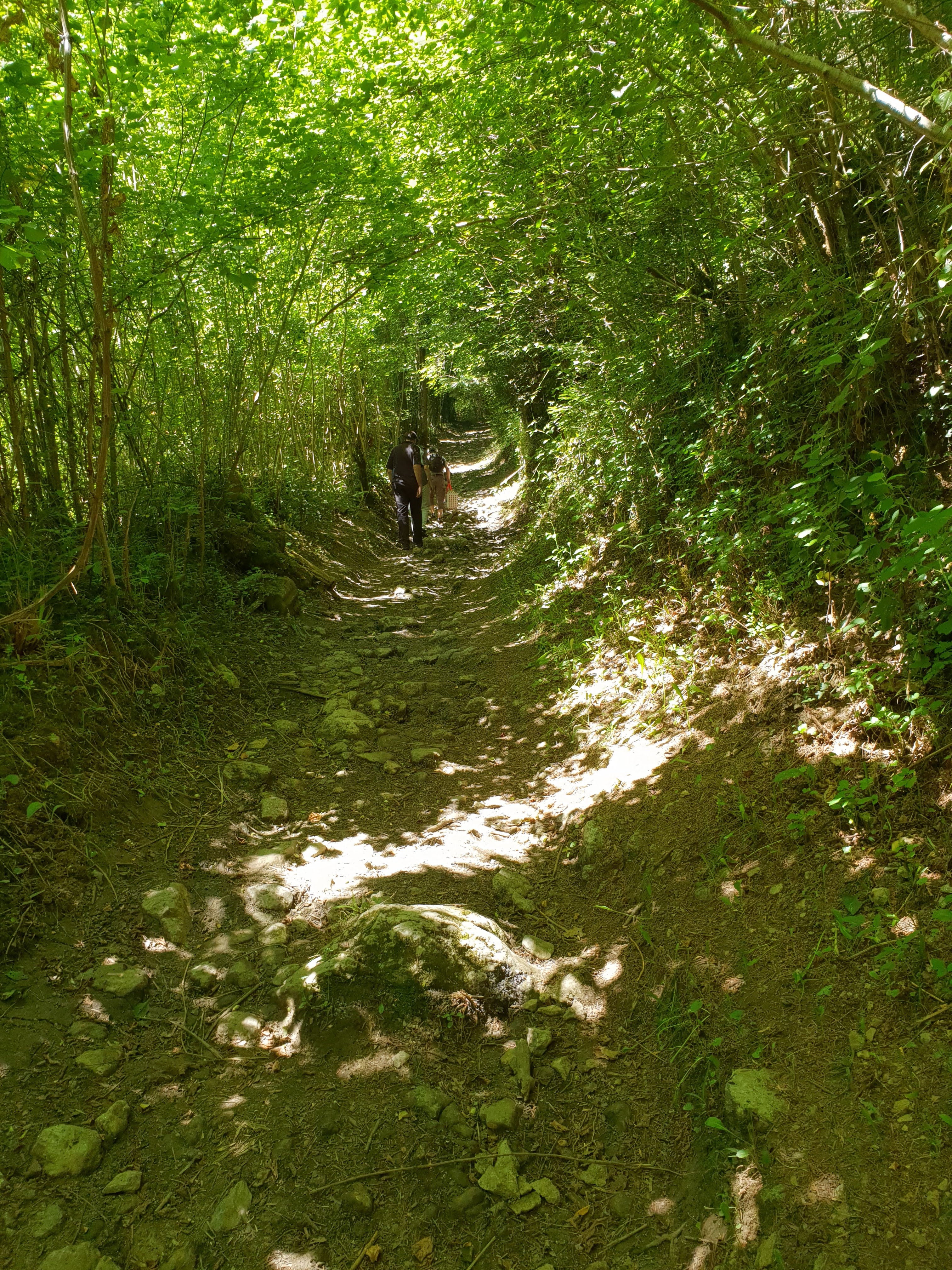 Photo n° 7 de l'avis de Sandrine.e fait le 21/08/2019 à 12:56