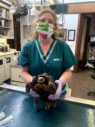 1550 Solano Ave, Albany, CA 94707, USA