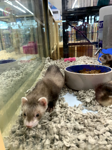 Pet Supply Store «Pet Supermarket, Inc.», reviews and photos, 598 N McCarran Blvd, Sparks, NV 89431, USA