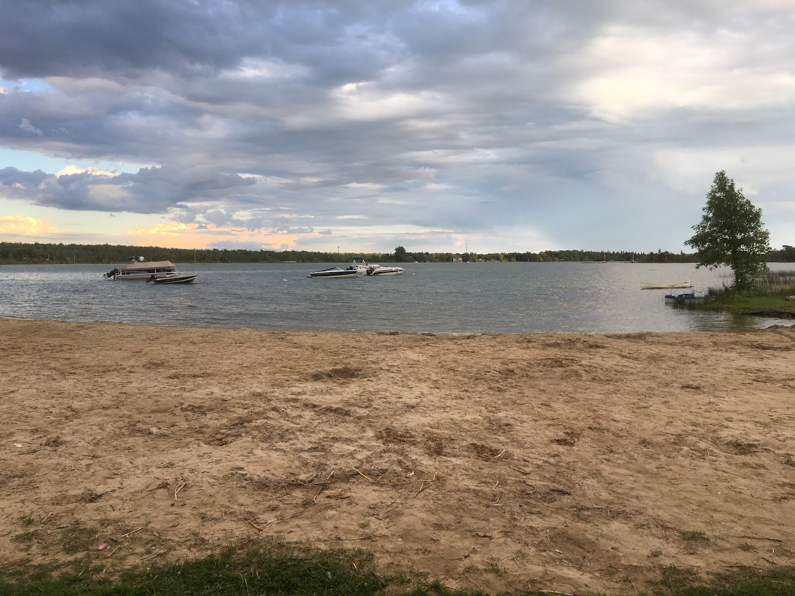 Foto av Howdenvale Beach och bosättningen