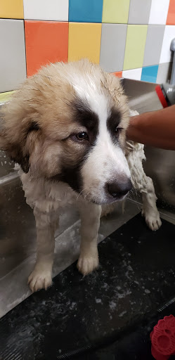 Pet Supply Store «Unleashed by Petco», reviews and photos, 515 El Camino Real #120, Menlo Park, CA 94025, USA