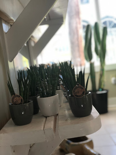 Plant Nursery «Potomac Petals and Plants», reviews and photos, 9545 River Rd, Rockville, MD 20854, USA