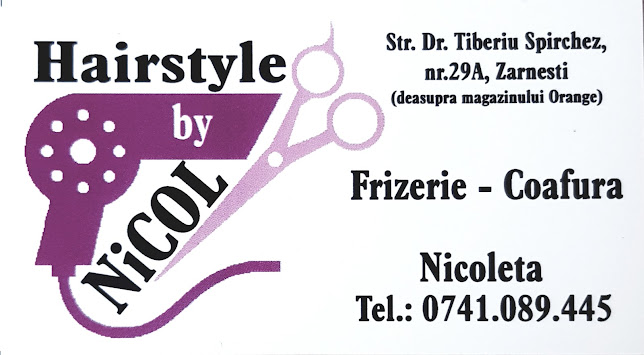 Salon de Frizerie - Coafura Hairstyle by NiCOL - Coafor