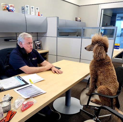 Auto Repair Shop «Autoscope Foreign Car Care - Plano», reviews and photos, 601 Coit Rd, Plano, TX 75075, USA