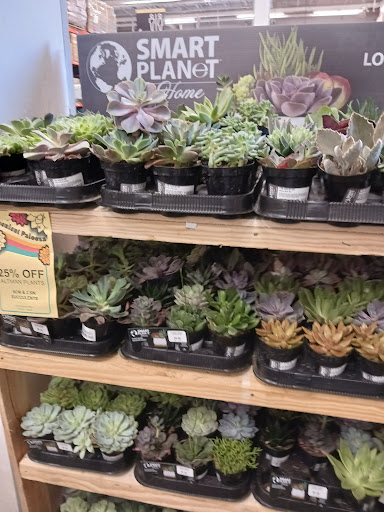 Home Improvement Store «The Home Depot», reviews and photos, 6555 Little River Turnpike, Alexandria, VA 22312, USA