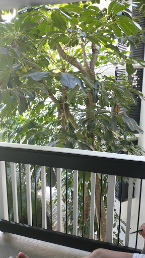 Golf Club «PGA National Golf Club», reviews and photos, 400 Ave of the Champions, Palm Beach Gardens, FL 33418, USA