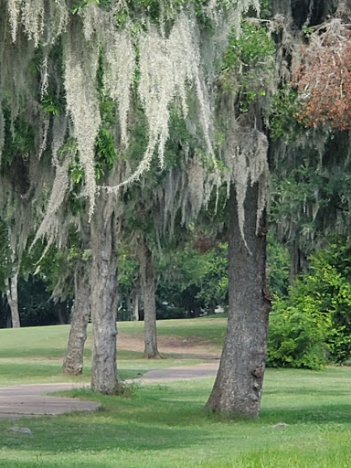 Golf Course «Greatwood Golf Club», reviews and photos, 6767 Greatwood Pkwy, Sugar Land, TX 77479, USA