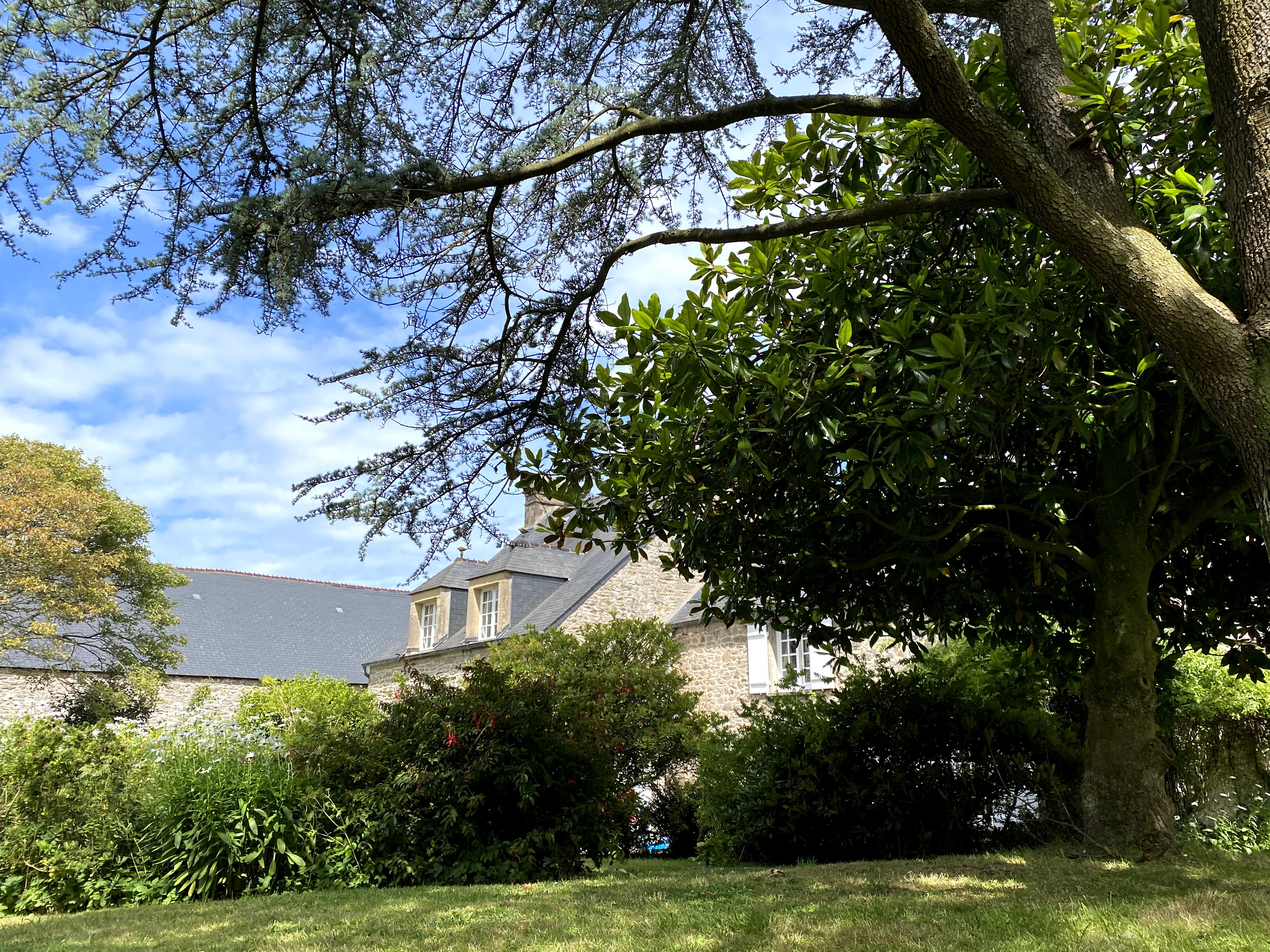 Photo n° 5 de l'avis de Louis.o fait le 27/07/2020 à 21:17