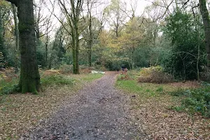 Clowes Wood Nature Reserve image