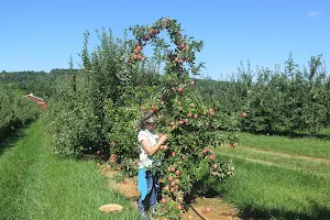 Melick's Town Farm - Califon Orchards image