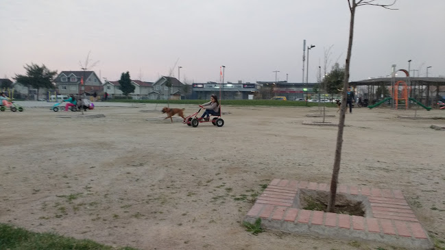 Comentarios y opiniones de Plaza Ciudad Del Sol