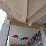 Photo n°1 de l'avis de Marco.e fait le 27/07/2021 à 11:50 sur le  Lo Scacciapensieri à Genoa